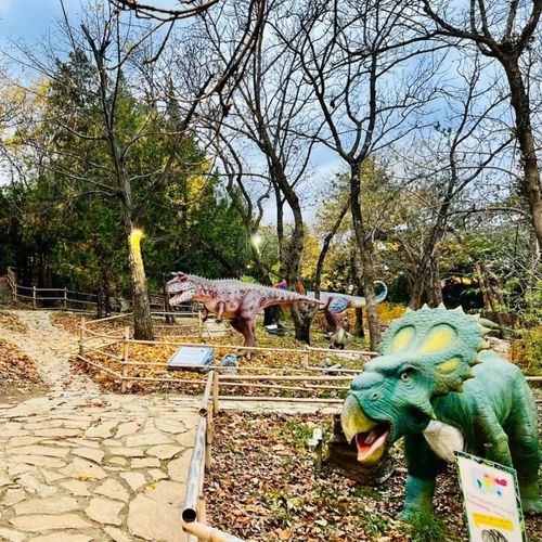 Bombora - Amusement Park Tbilisi