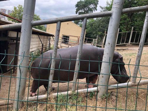 Tbilisi Zoo