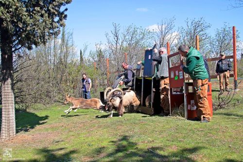 Tbilisi Zoo